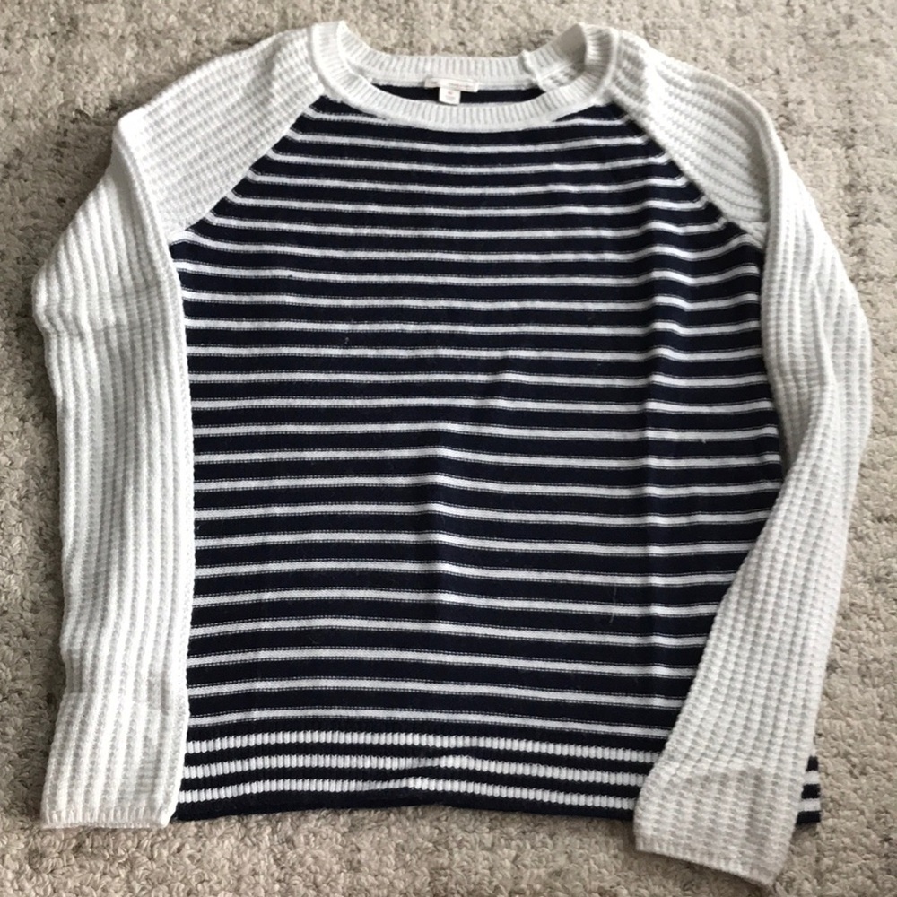 Gap Blue and White Stripe Sweater